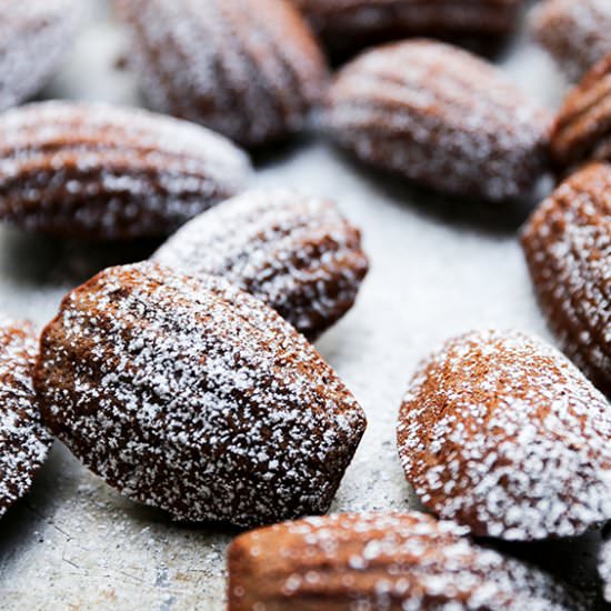 Chocolate Hazelnut Madeleines