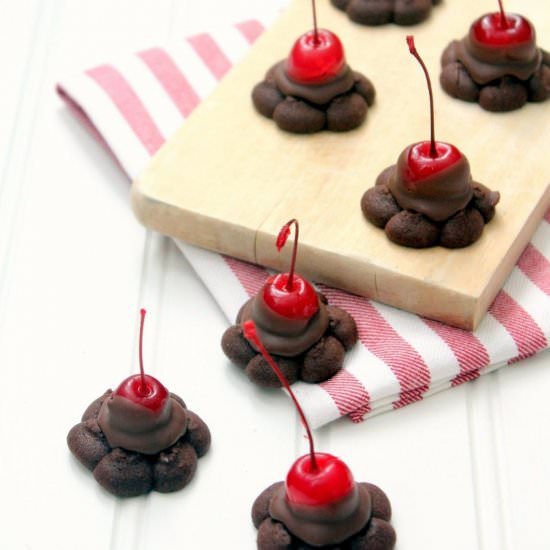 Chocolate Cherry Blossoms