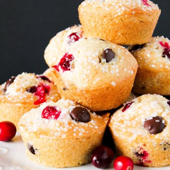Dark Chocolate Cranberry Muffins