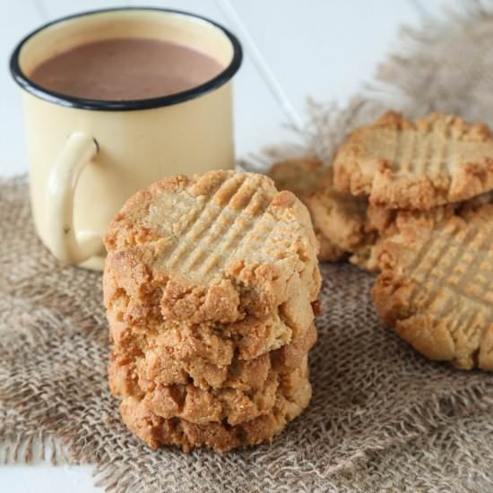 5 Ingredient Keto Cookies