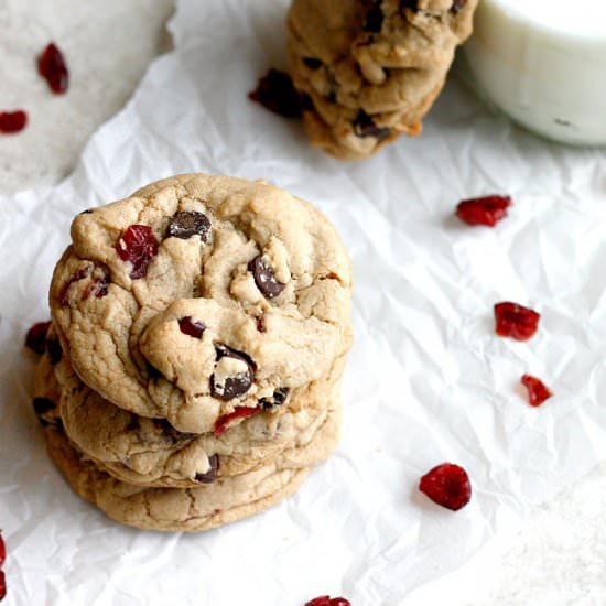 Dark Chocolate Cranberry Cookies