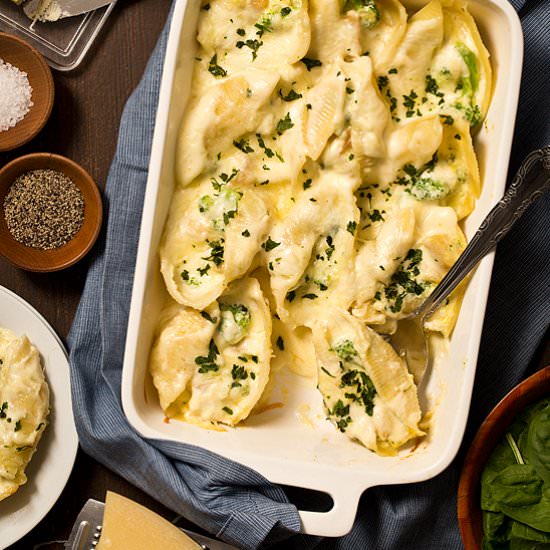 Chicken Broccoli Alfredo Shells