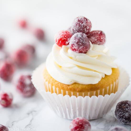 Cranberry White Chocolate Cupcakes