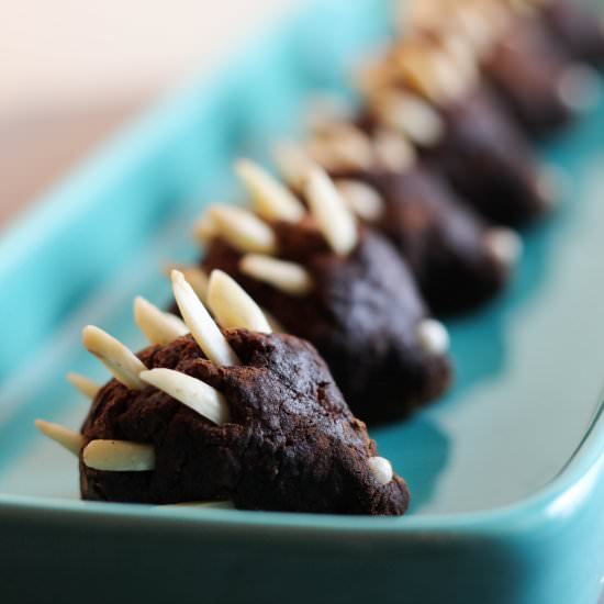 Chocolate Truffle Hedgehogs