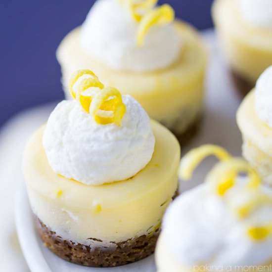 Mini Lemon Cheesecakes