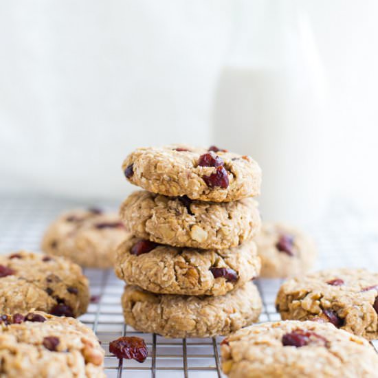 Cranberry Coconut Oatmeal Cookies