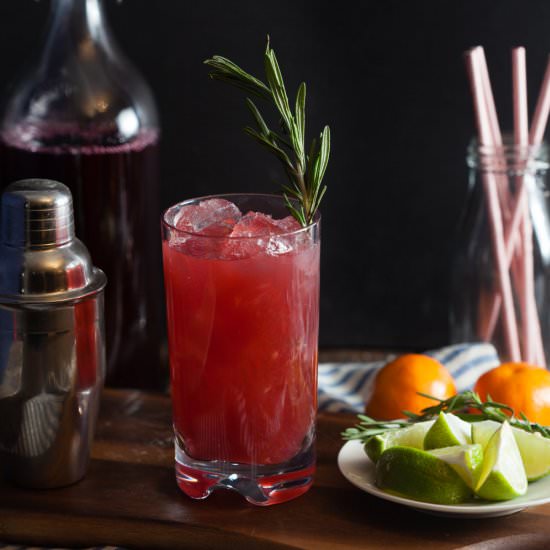 Sparkling Cranberry-Clementine Gin