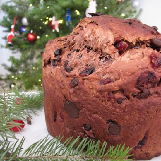 Chocolate Panettone