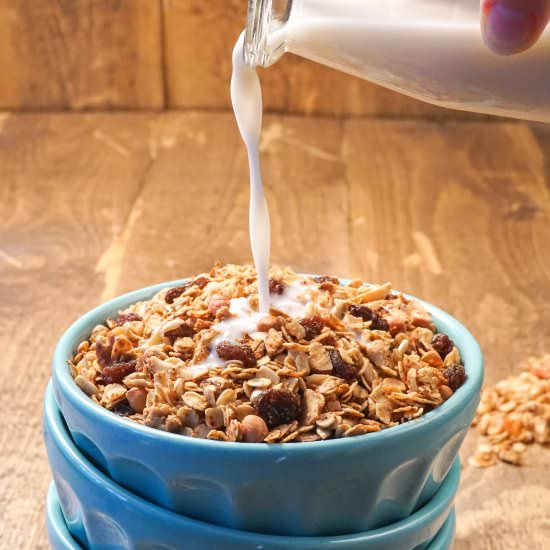 Fruit and Nut Granola