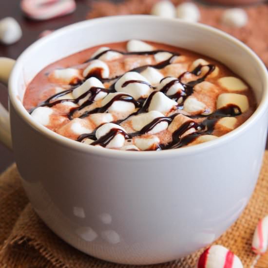 Rich and Creamy Hot Cocoa