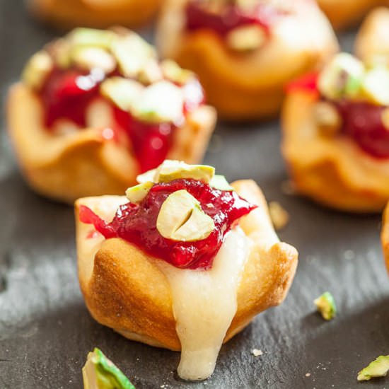 Cranberry Brie Bites