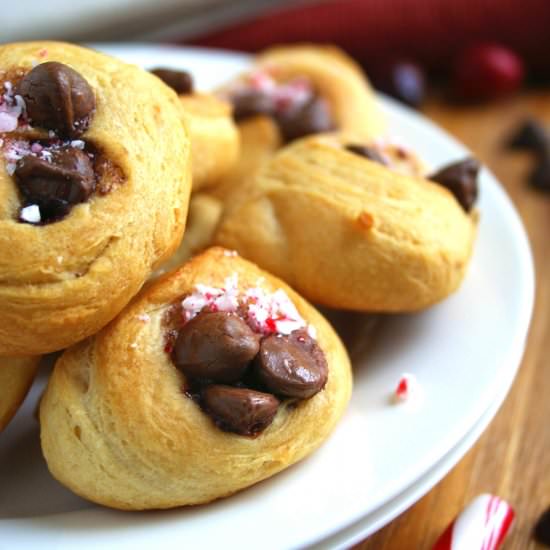 Chocolate Peppermint Bites