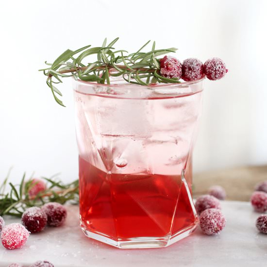 Cranberry Rosemary Spritzer