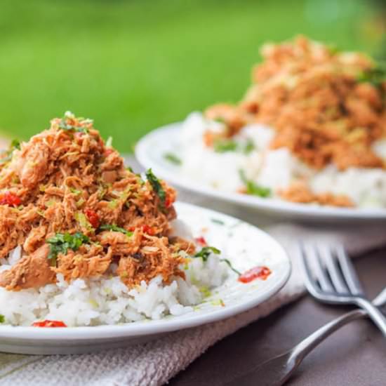 Slow Cooker Asian Chicken