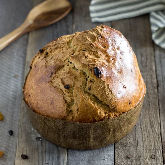 Pannetone (Italian Christmas Bread)