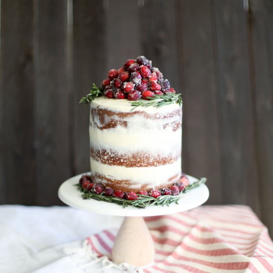 Cranberry Holiday Cake