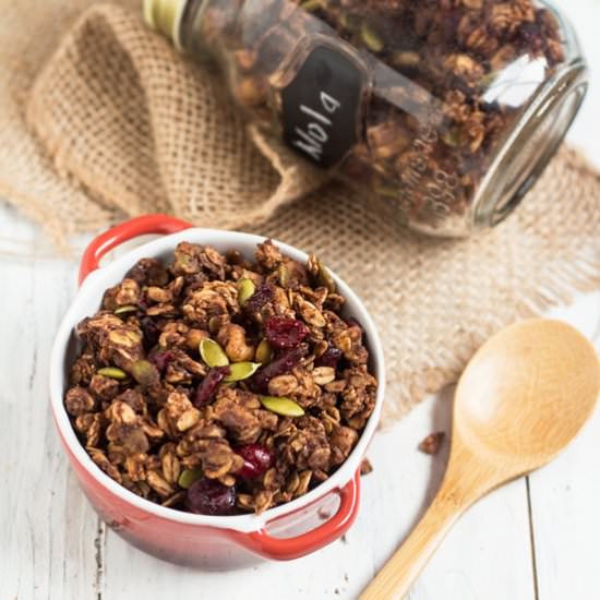 Vegan Chocolate Cranberry Granola