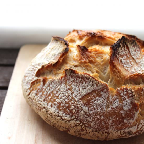 No-Knead Bread