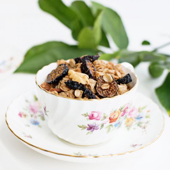 Vegan Gluten Free Fig Granola