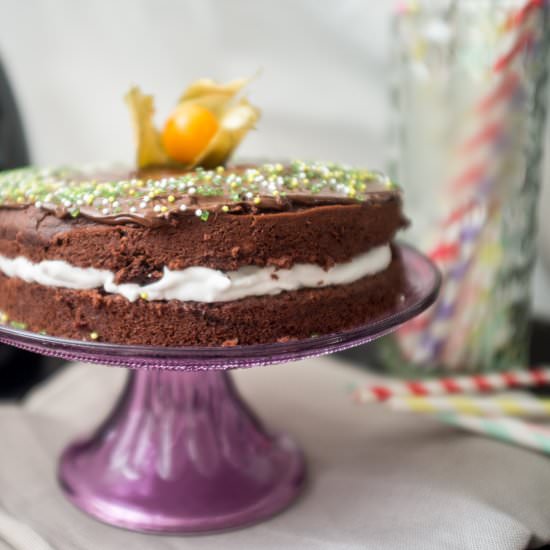 Simple Festive Chocolate Cake