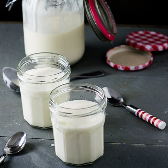 The Easiest Ever Homemade Yogurt