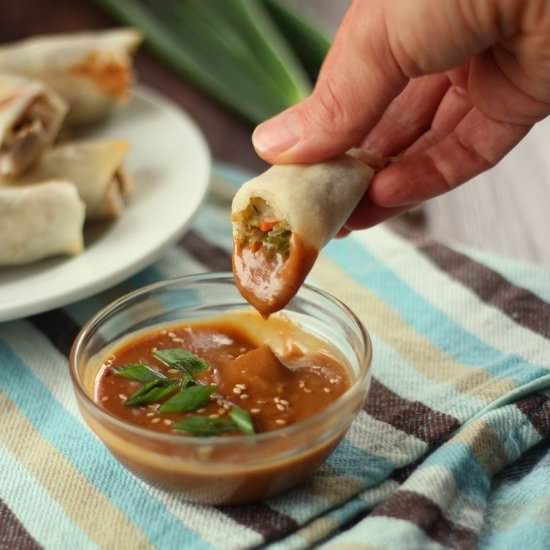 Baked Vegetable Spring Rolls