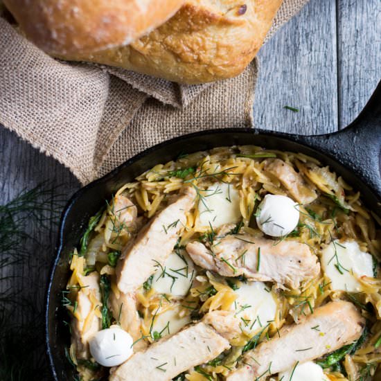 One-Pot Italian Chicken Orzo