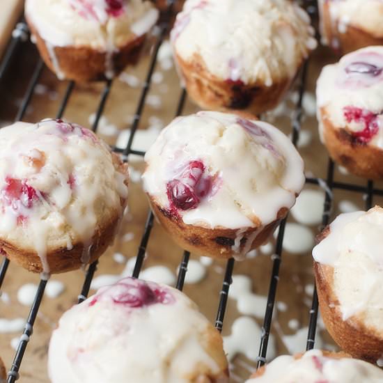 White Chocolate Cranberry Muffins