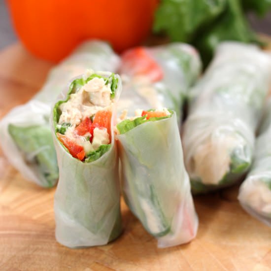 Tuna Spring Rolls