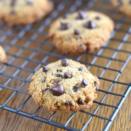 Paleo Vegan Chocolate Chip Cookies