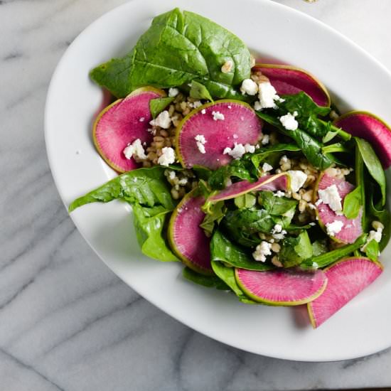 Watermelon Radish Salad