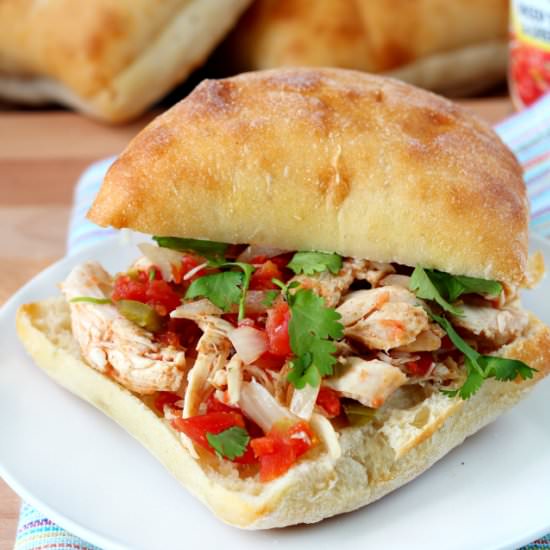 Slow Cooker Tex Mex Chicken