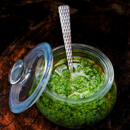 Vegan Kale Pesto