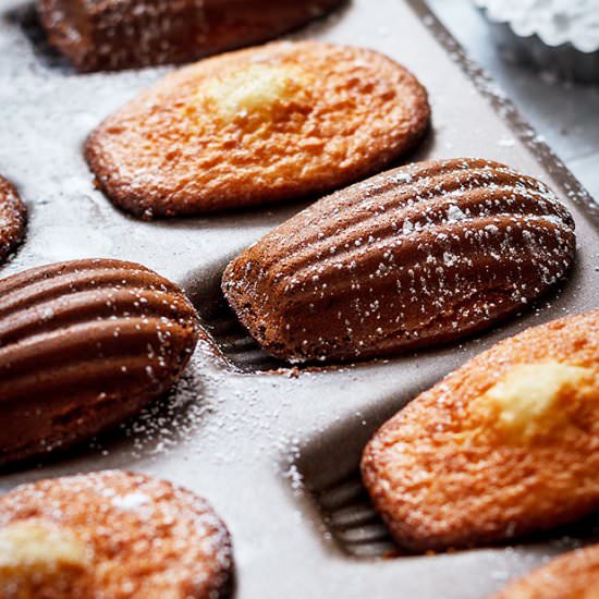 Honey Ginger Madeleine Cakes