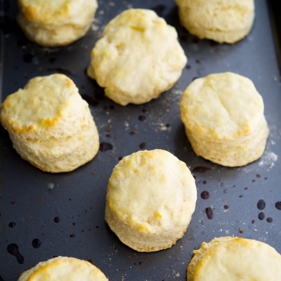 Buttermilk Biscuits