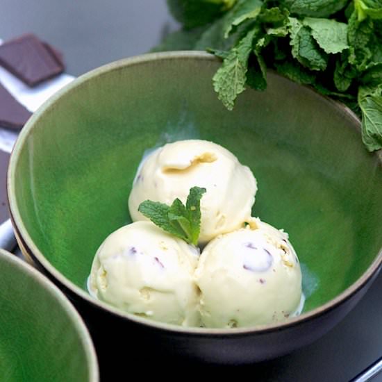 Mint chocolate chip ice cream