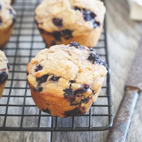 Wild Blueberry Ginger Muffins