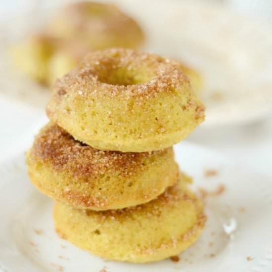Coconut Flour Cinnamon Doughnuts