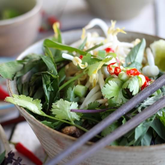 Vegetarian Pho