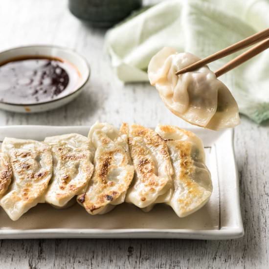 Japanese GYOZA