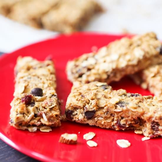 Healthy No-Bake Granola Bars