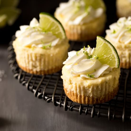 Mini Margarita Cheesecakes