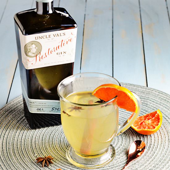 Hot Gin Toddy