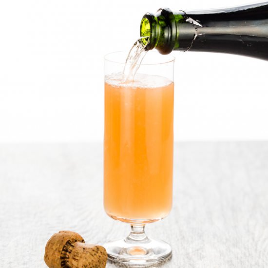 Mexican Mimosa