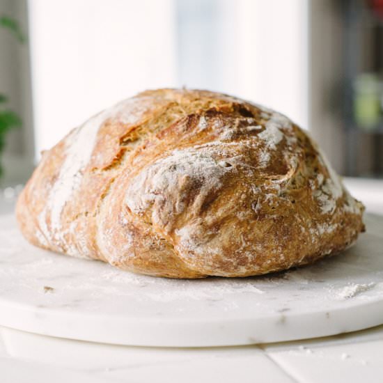 Whole Wheat Bread