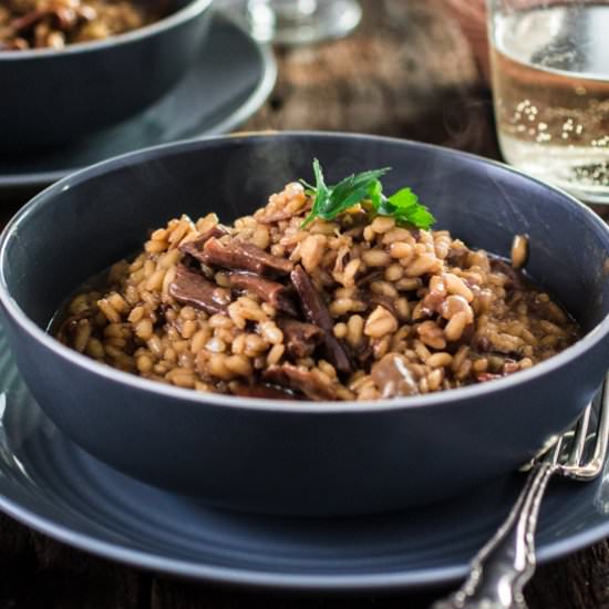 Porcini Mushroom Risotto