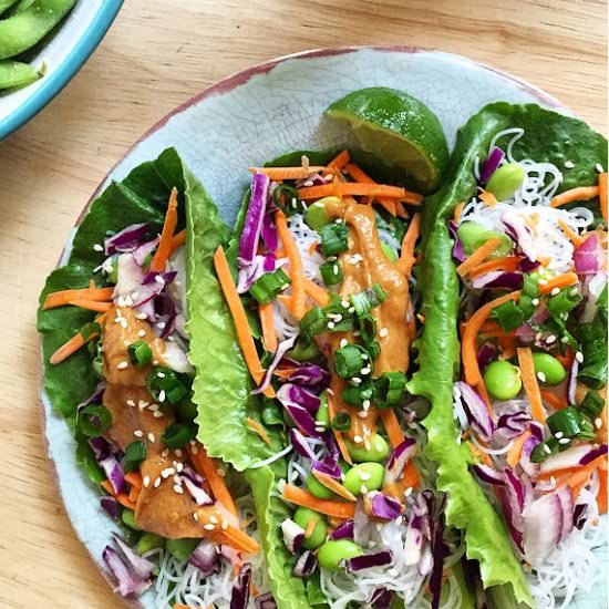 Thai Lettuce Boats