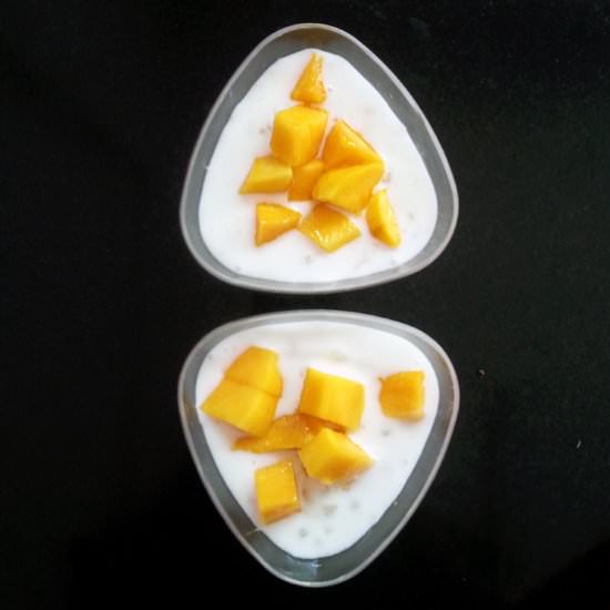 Sabudana Coconut Milk Pudding