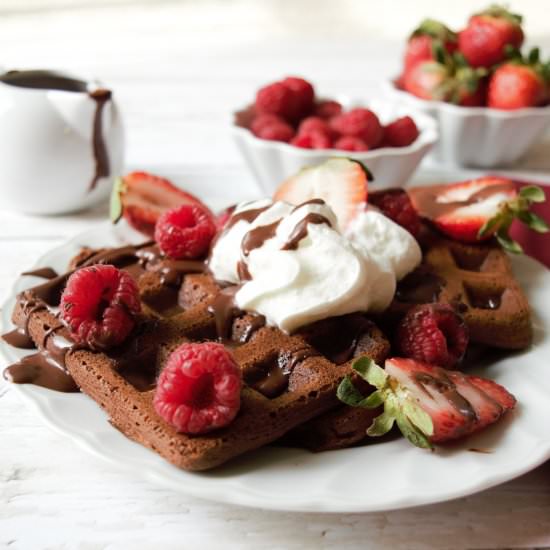 Easy Chocolate Waffles and Pancakes