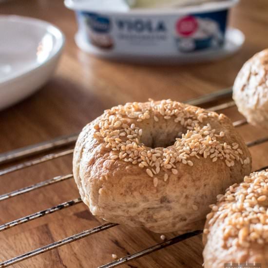 Home Made Sesame Bagels